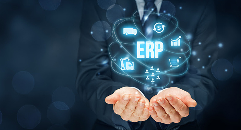 ERP Integration Services